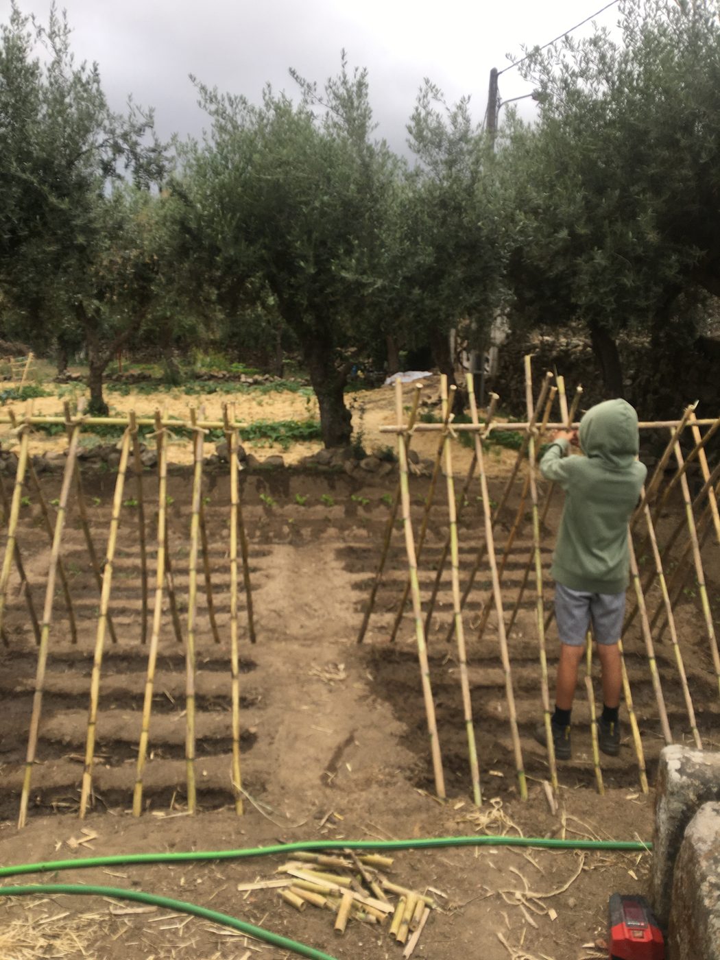 Child helping build bamboo garden trellises — hands-on simple living education