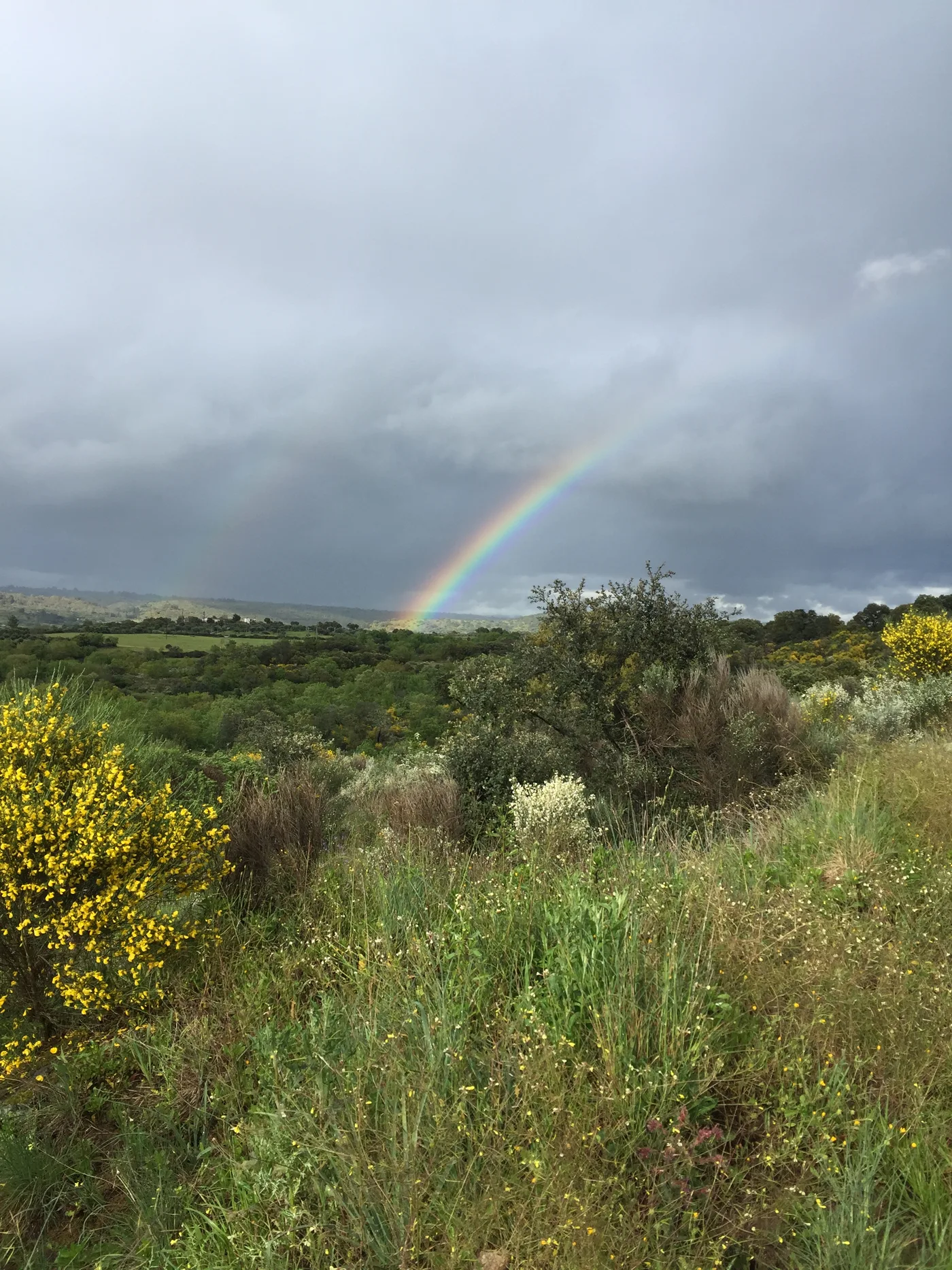 Open countryside with a rainbow after rain
